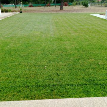 margardens.marclear - Montijo - Seeding