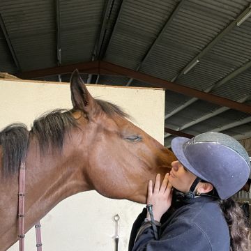 Faustine - Coimbra - Hundeausführung