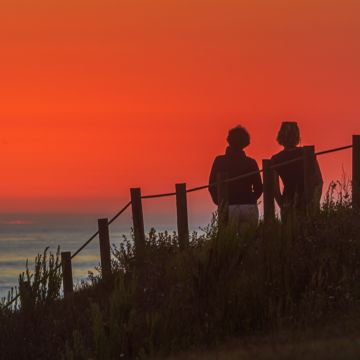 Emidio Peirão - Porto - Fotografia de Animais de Estimação