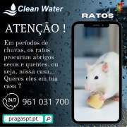 Clean water controlo de pragas - Sintra - Shrub Removal