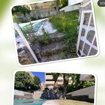 Arbo Jardinagem - Porto - Remoção de Arbustos