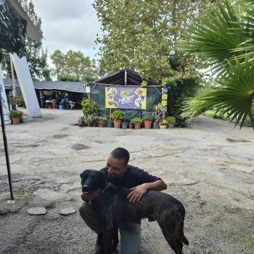 Lopes Treinador Canino - Lisboa - Banhos e Tosquias para Animais
