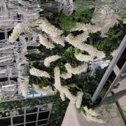 Rajiv Ravi - Lisboa - Wedding Florist