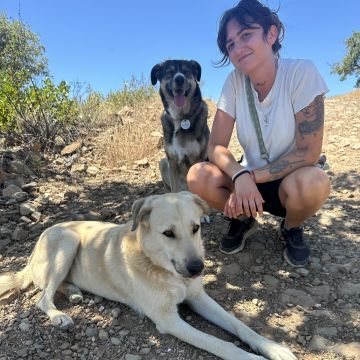 Denise - Olhão - Bains et toilettage pour animaux