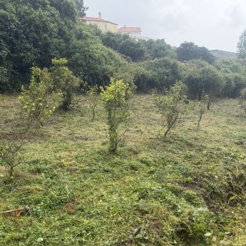 Monica e Micael - Vila Franca de Xira - Limpieza de tapicerias y muebles