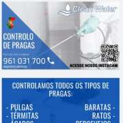 Clean water controlo de pragas - Sintra - Limpeza a Fundo
