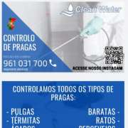 Clean water controlo de pragas - Sintra - Tree Stump Grinding and Removal
