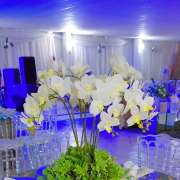 Rajiv Ravi - Lisboa - Florists