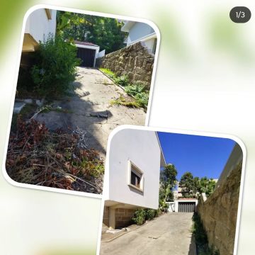 Arbo Jardinagem - Porto - Estufas