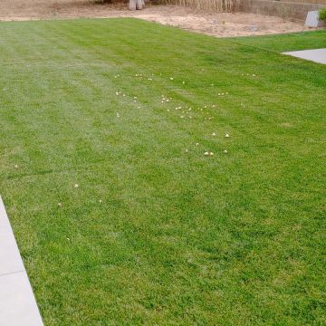 margardens.marclear - Montijo - Odor Removal