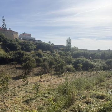 Monica e Micael - Vila Franca de Xira - Jardinería