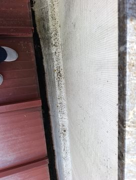 Empresa de Impermeabilização - Casa