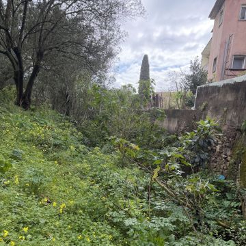 Monica e Micael - Vila Franca de Xira - Jardinería