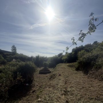 Monica e Micael - Vila Franca de Xira - Limpieza del hogar (recurrente)