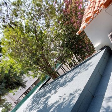 Daniel Rocha dos Reis - Cascais - Stair and Staircase Repair