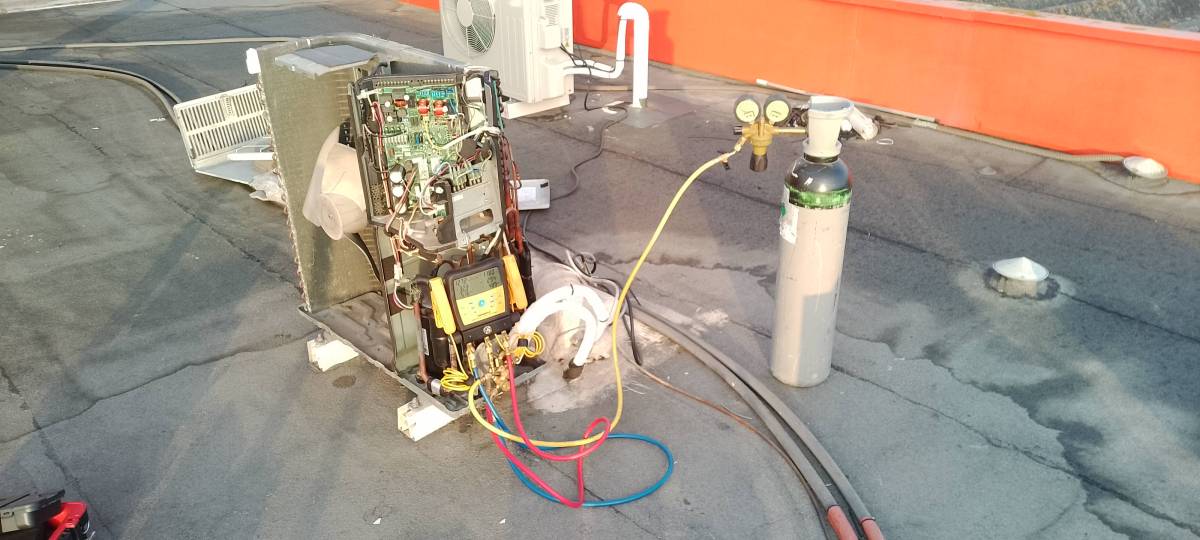 Maximiliano Teardi - Odivelas - Wiring