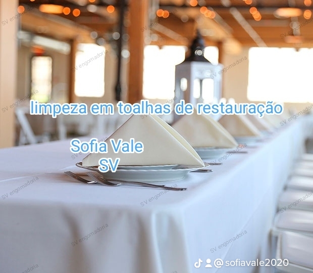 Sofia do vale unipessoal lda limpeza - Paredes - Suporte Administrativo