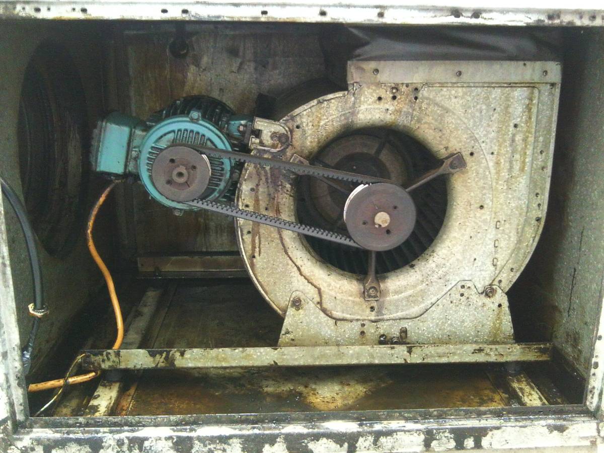 Jose Nunes - Almada - Switch and Outlet Installation