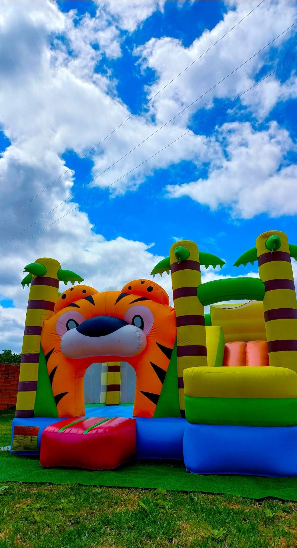 Happy Colour - Insufláveis Aveiro - Ílhavo - Inflatable Slide Rental