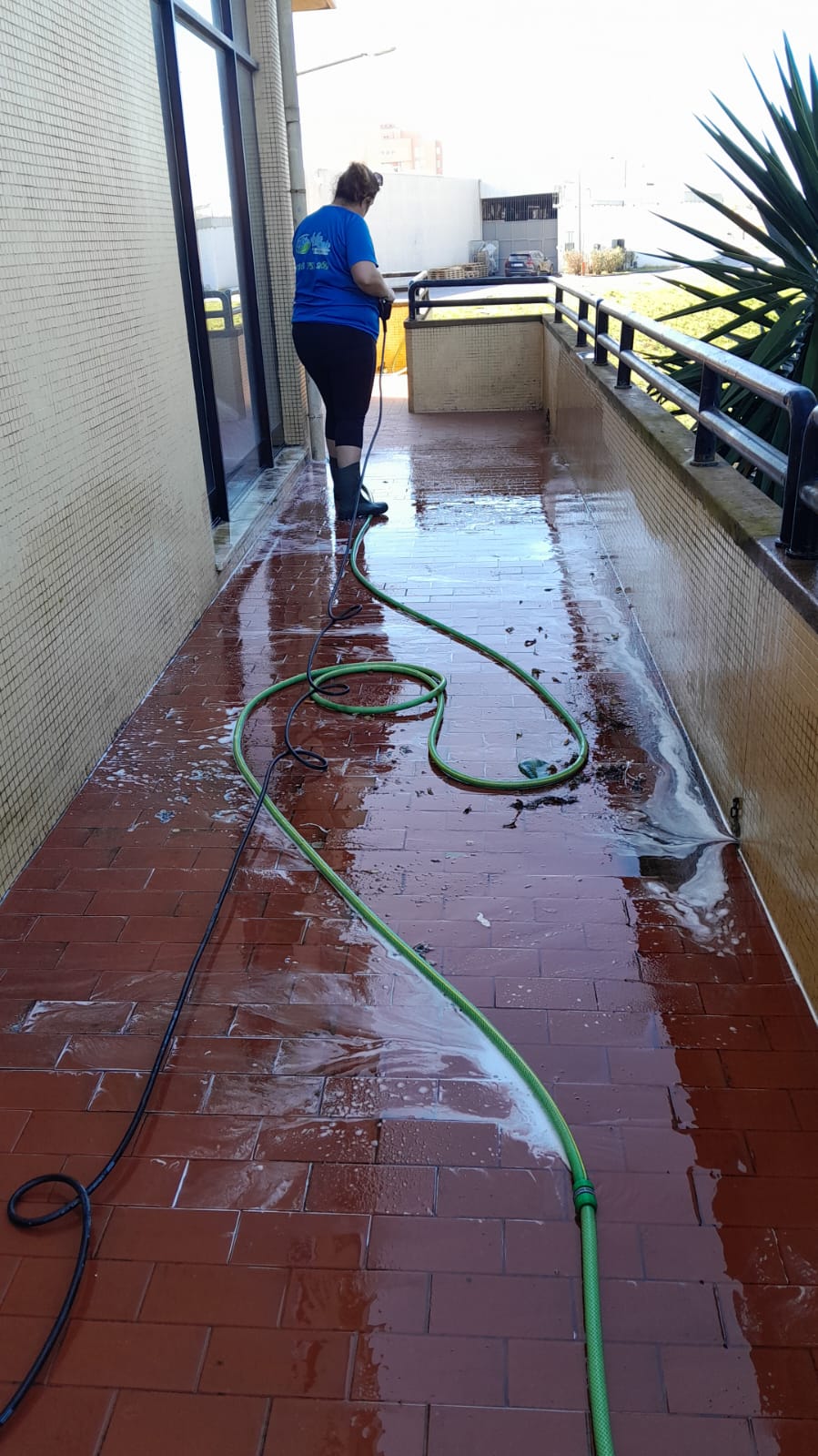 Sofia do vale unipessoal lda limpeza - Paredes - Limpeza da Casa (Recorrente)