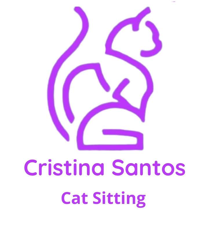 Cristina Santos - Gondomar - Serviços Pessoais