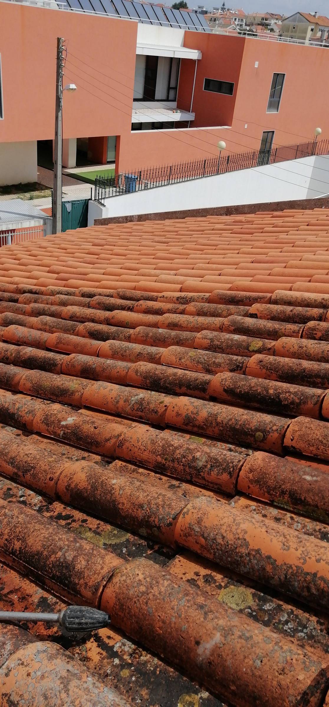 Viana - VD Construção LDA - Torres Vedras - Servicios de invernadero