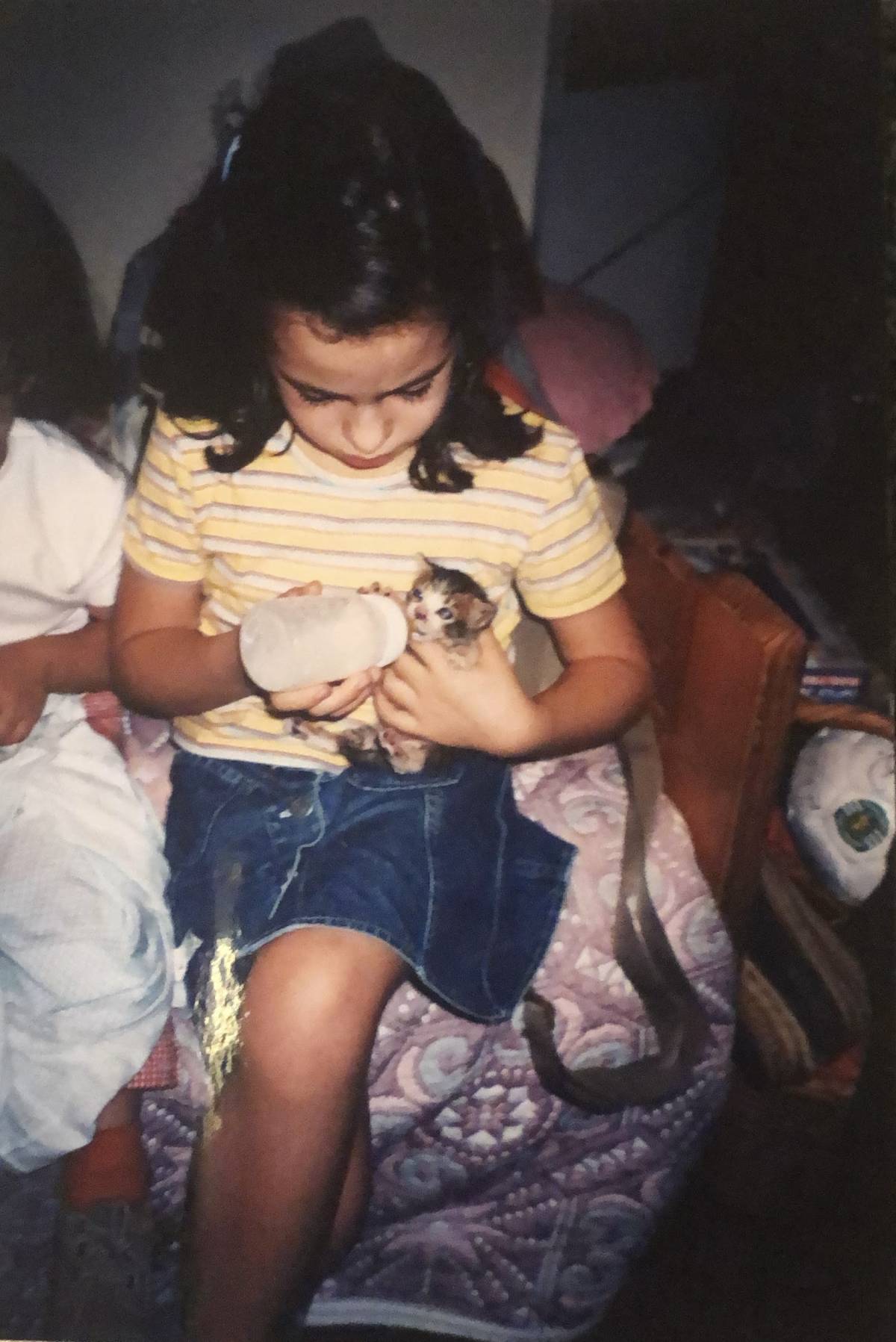 Maria Fernandes - Braga - Cat Sitting