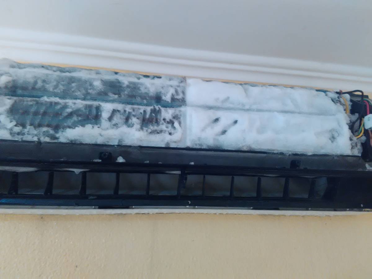 Jose Nunes - Almada - Fan Repair