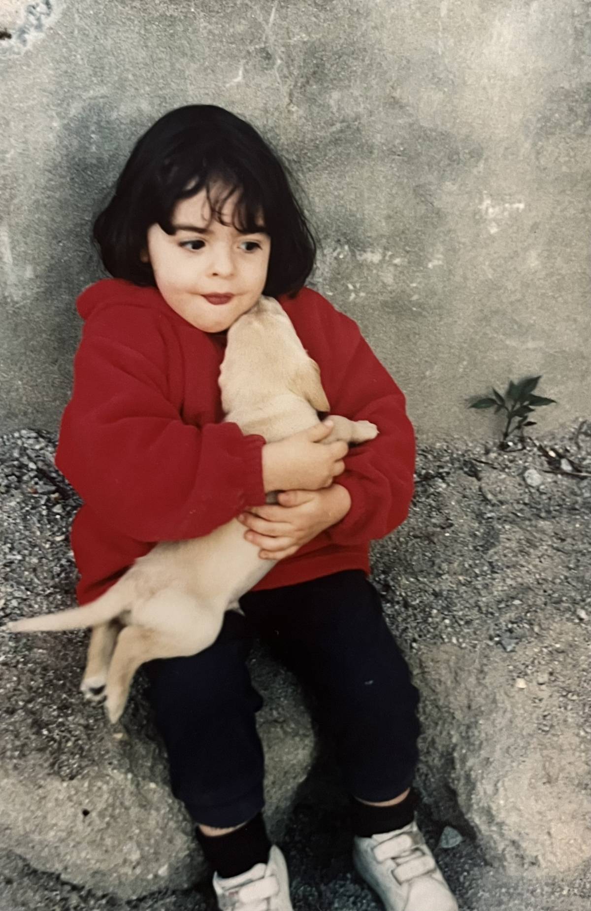 Maria Fernandes - Braga - Cat Sitting
