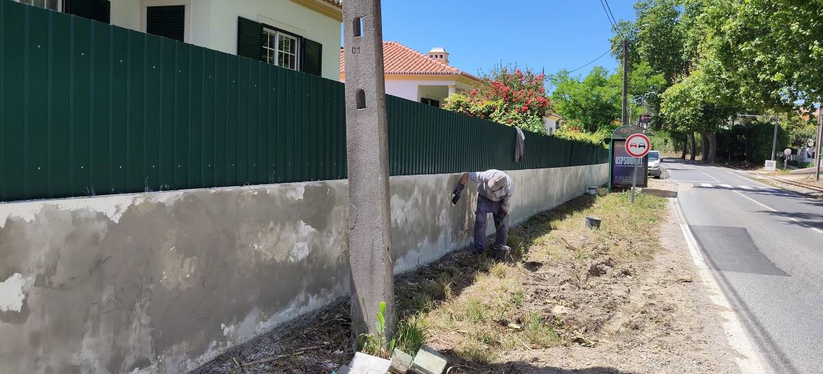 Alex - Sintra - Corte e Aparação de Relvado