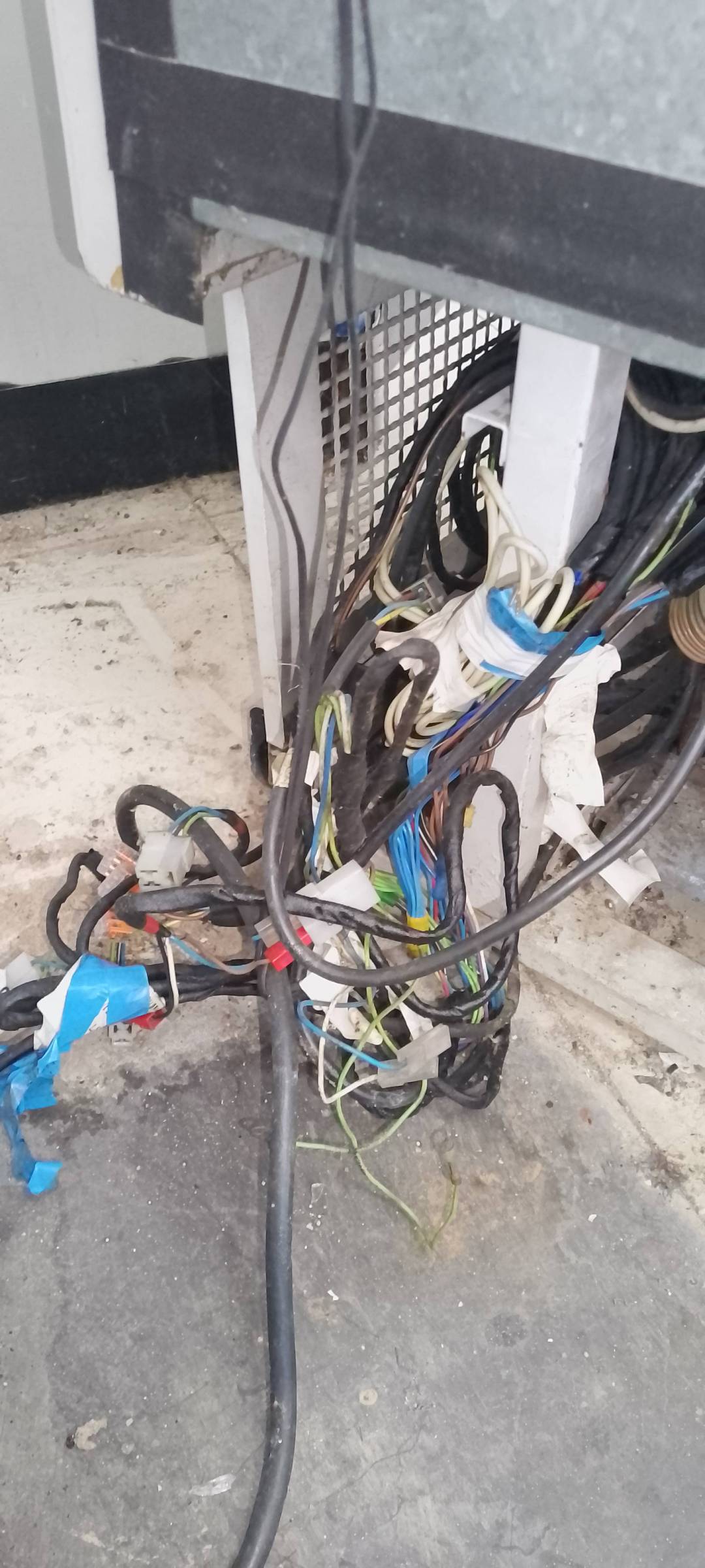 Maximiliano Teardi - Odivelas - Septic System Repair or Maintenance
