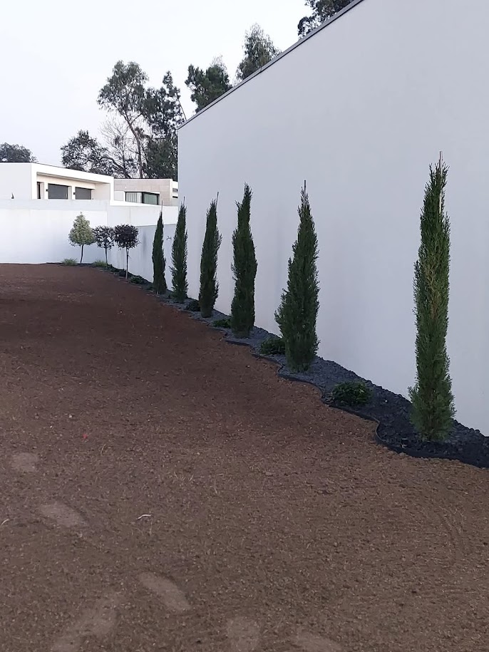 Duarte Sousa - Vila Verde - Jardinage et pelouses