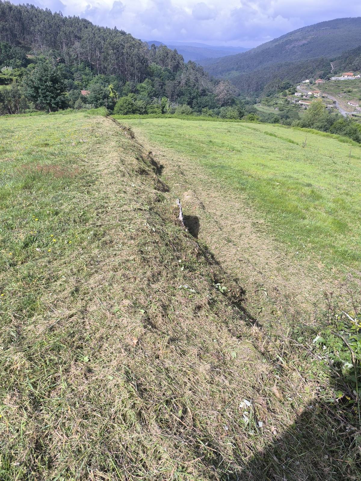 Verde Lima - Ponte de Lima - Entfernung von Gebüsch- und Baumaufwuchs