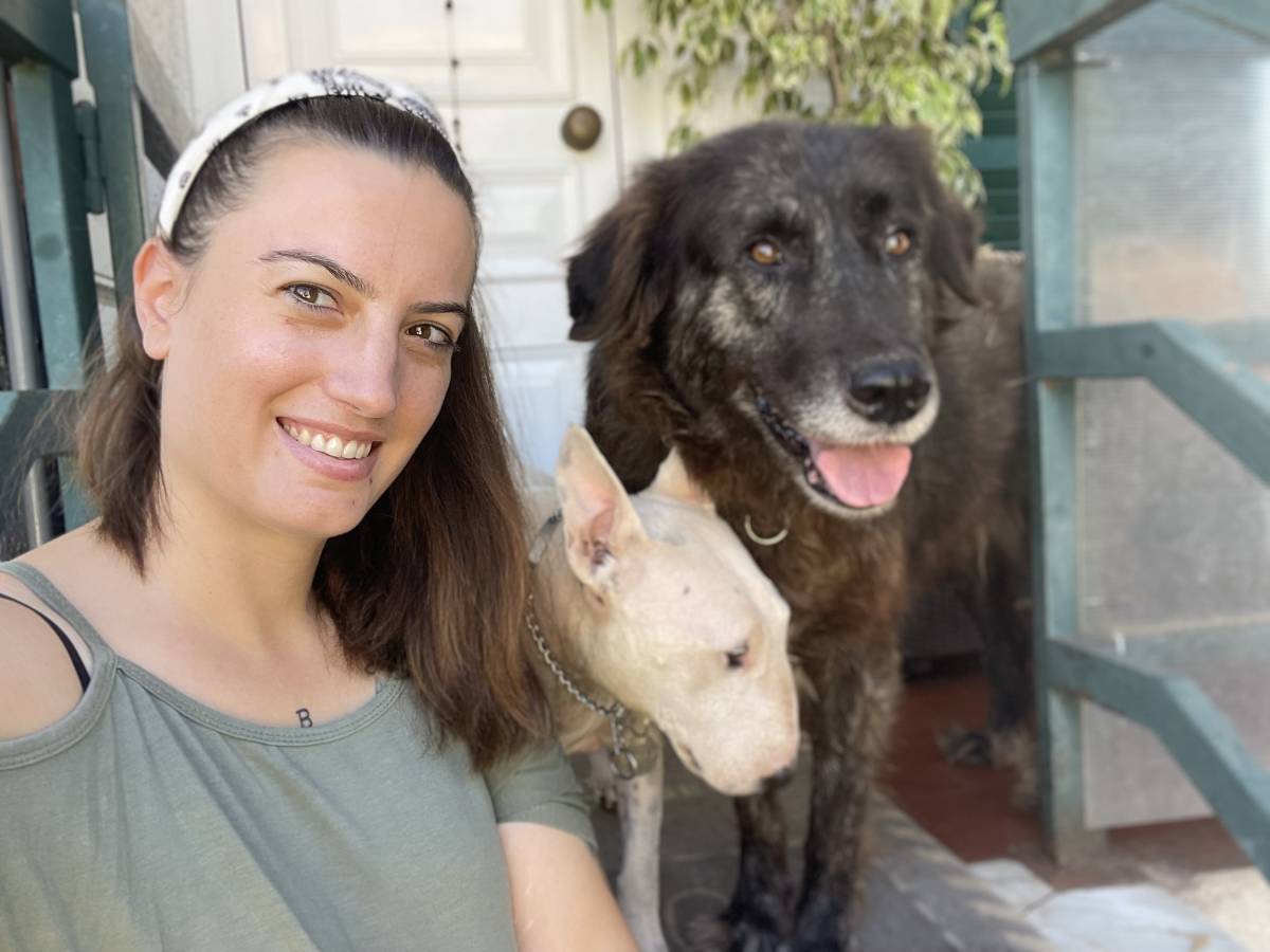 Ana Ramalho - Coimbra - Fensterreinigung