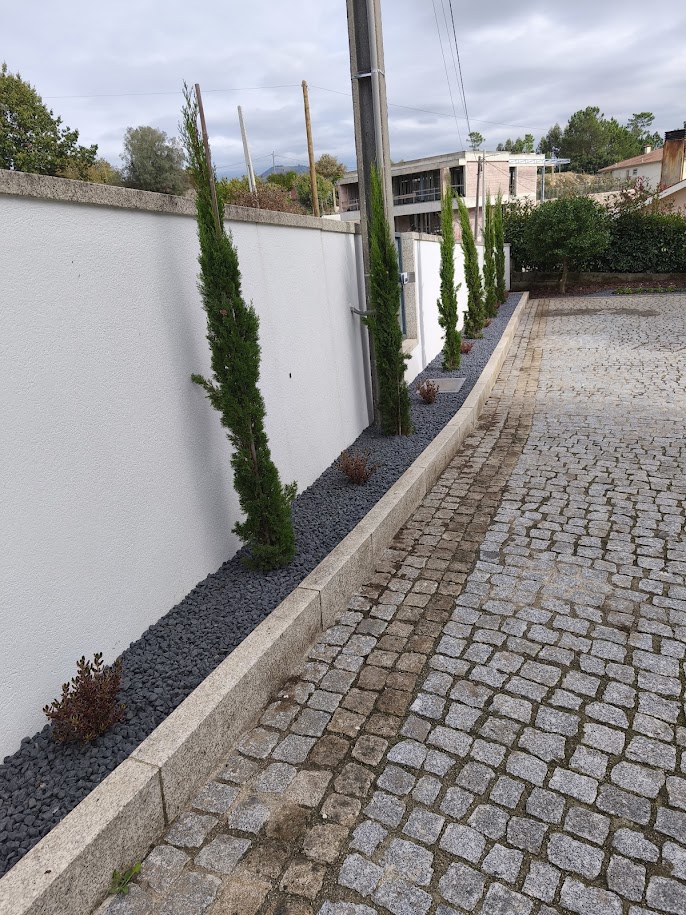 Duarte Sousa - Vila Verde - Plantation d’arbres