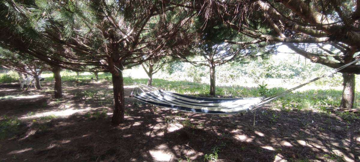 Chitaca do Outeiro- Aluguer de espaço para eventos - Sobral de Monte Agraço - Wedding Venue Rental