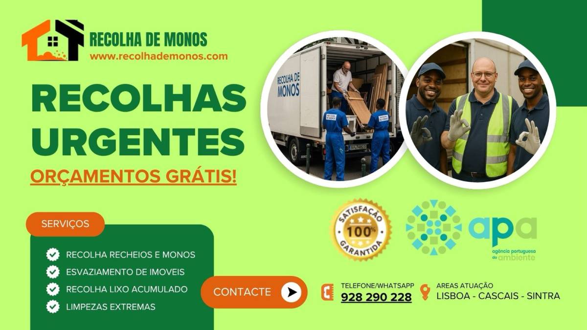 Recolha de Monos - Lisboa - Nettoyage en profondeur