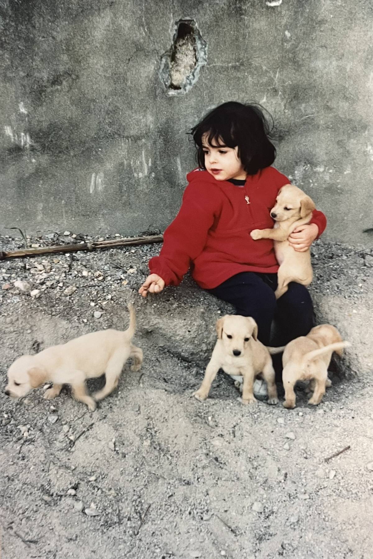 Maria Fernandes - Braga - Dog Walking