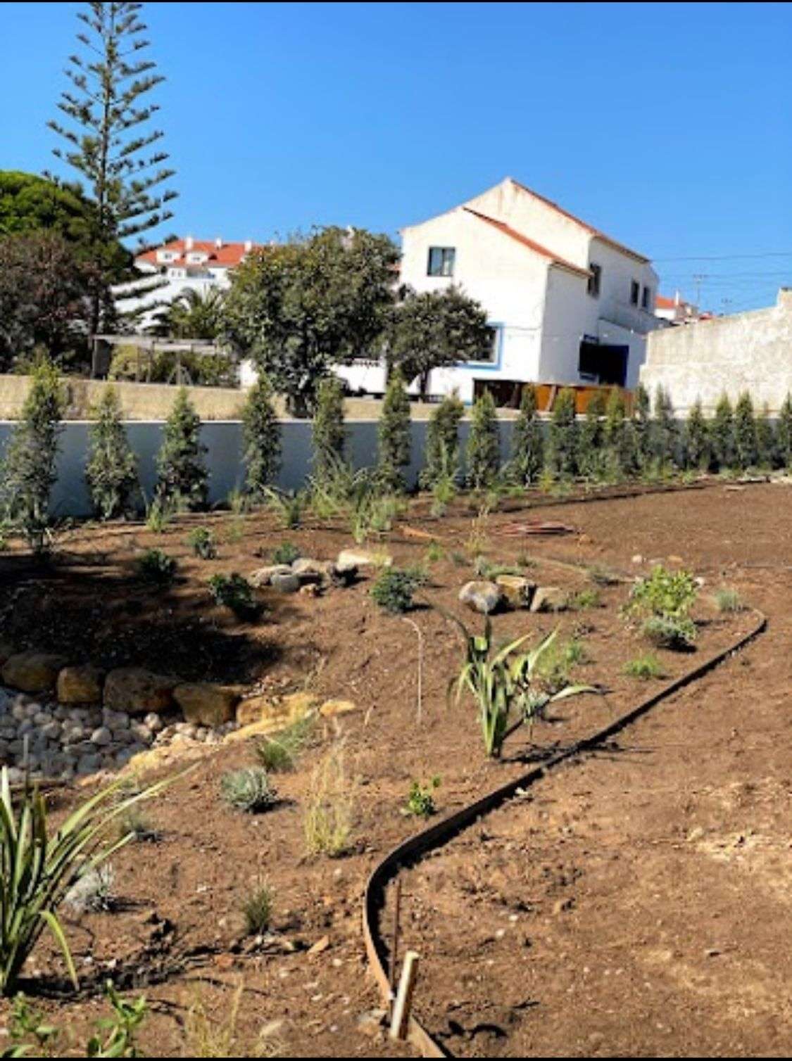 Amigo do Campo - Torres Vedras - Limpeza Após Mudanças