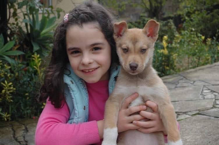 Maria Fernandes - Braga - Pet Sitting and Walking