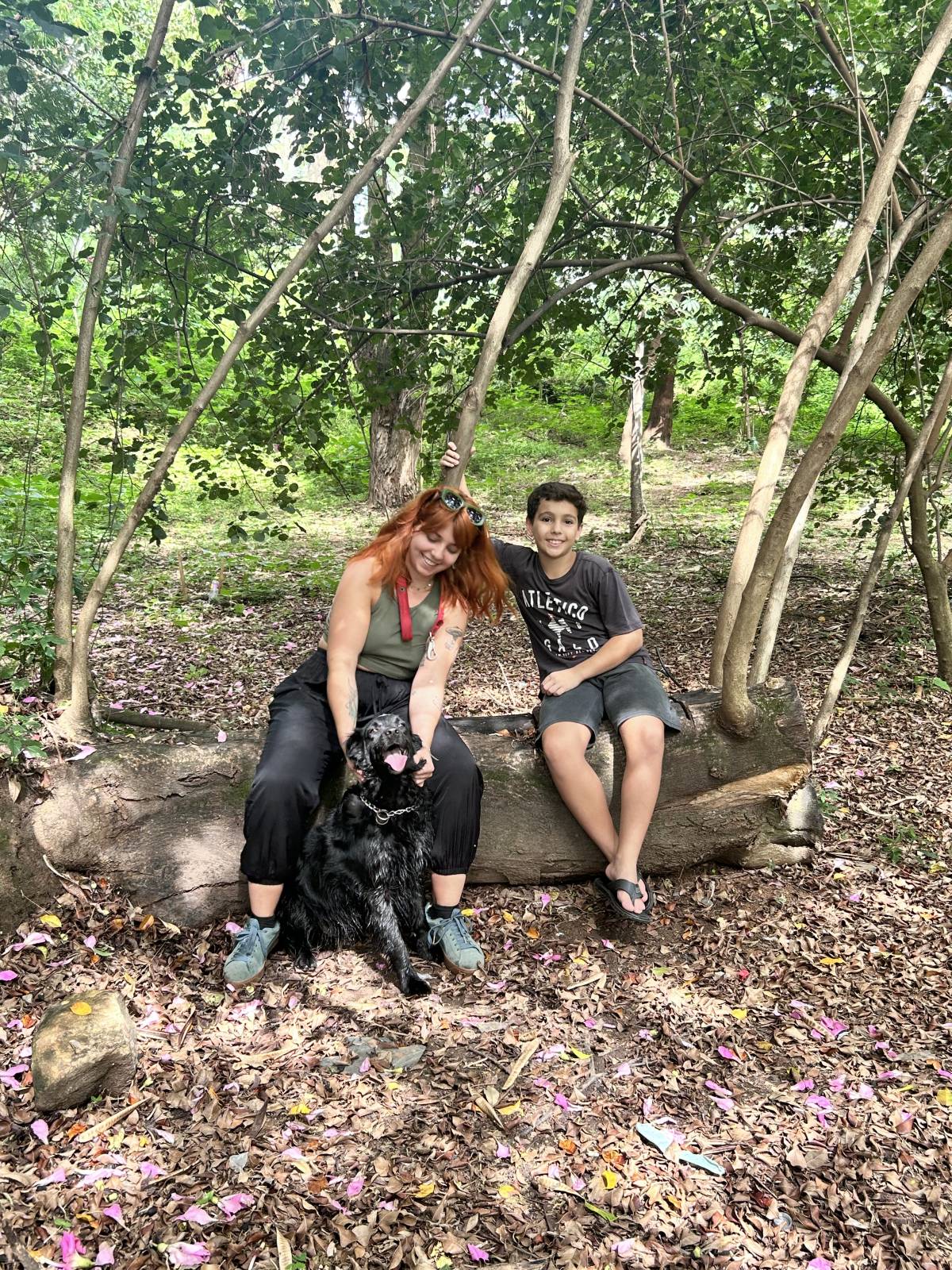 Júlia Pet sitting Apelação - Loures - Dog Walking