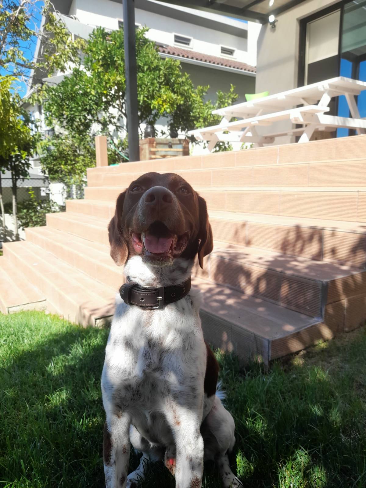 Rita'nRoll - Loures - Pet Sitting