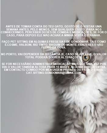 Cristina Santos - Gondomar - Hotel para Gatos