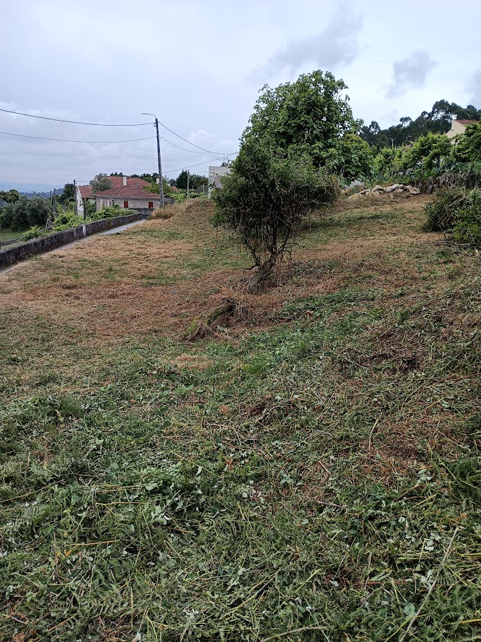 Duarte Sousa - Vila Verde - Jardinage
