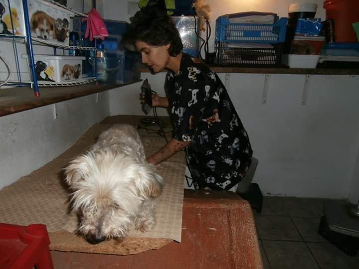 Erica - Moita - Dog Daycare