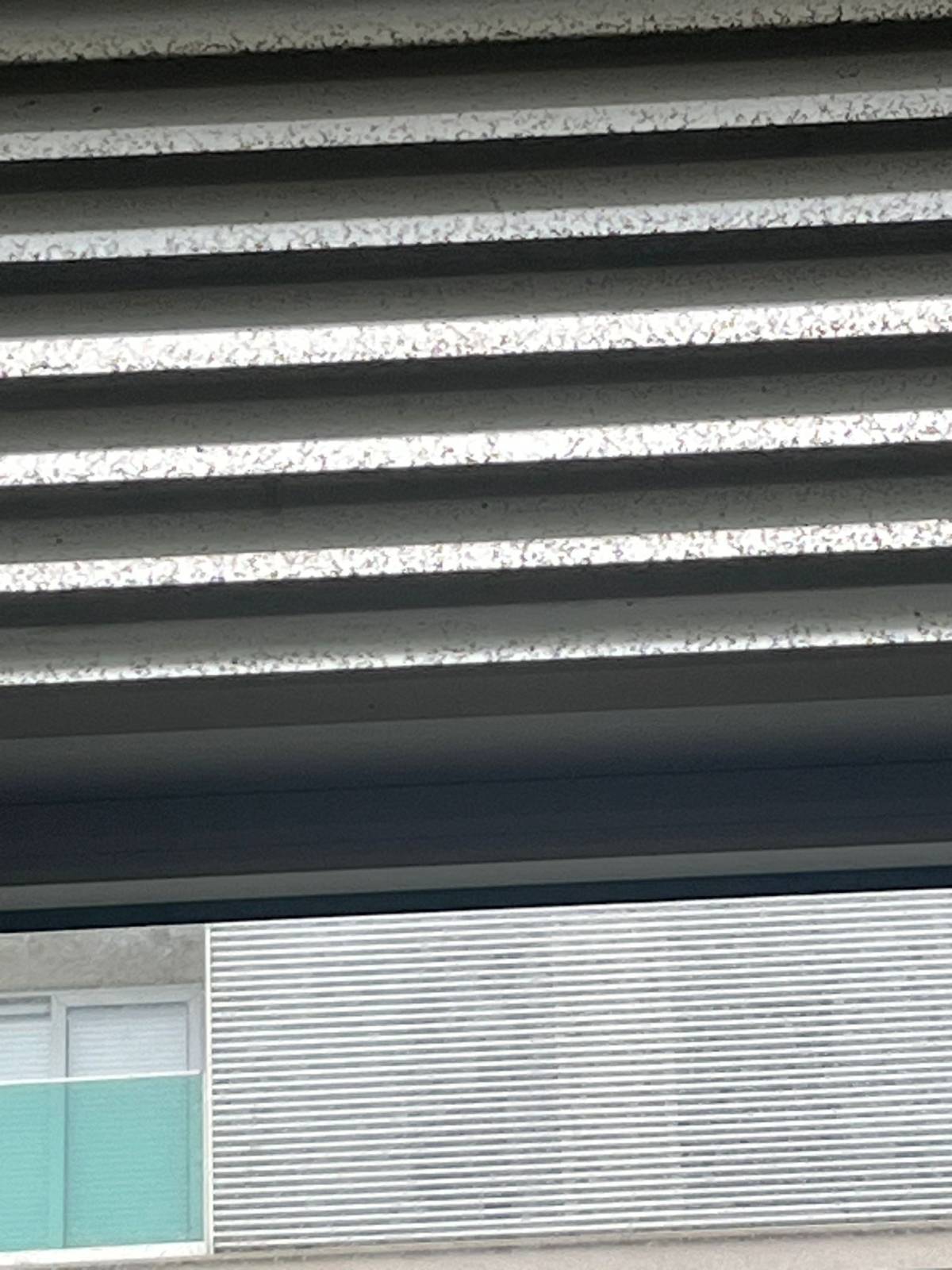 Sofia do vale unipessoal lda limpeza - Paredes - Limpeza de Cortinas e Cortinados