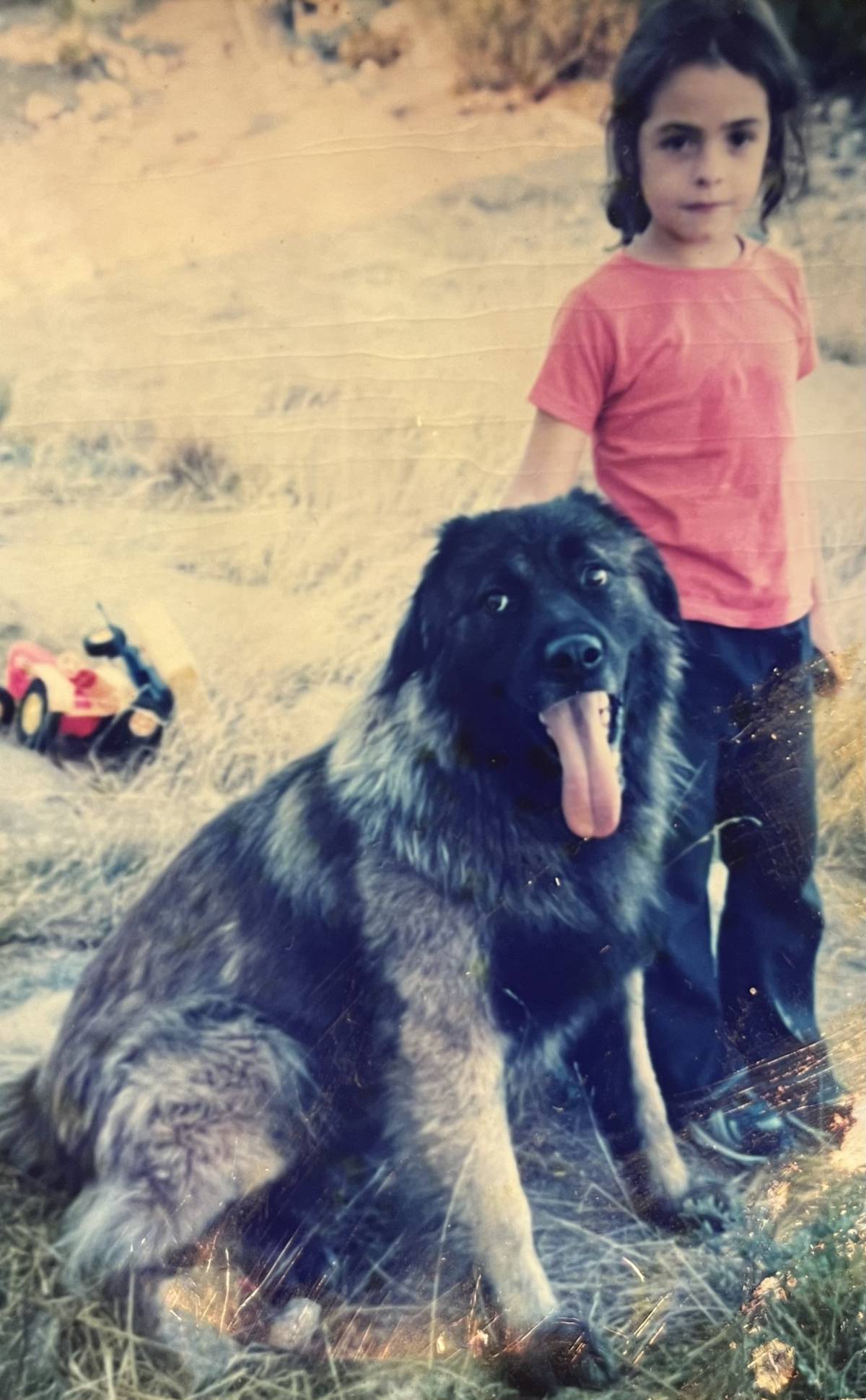 Maria Fernandes - Braga - Dog Sitting