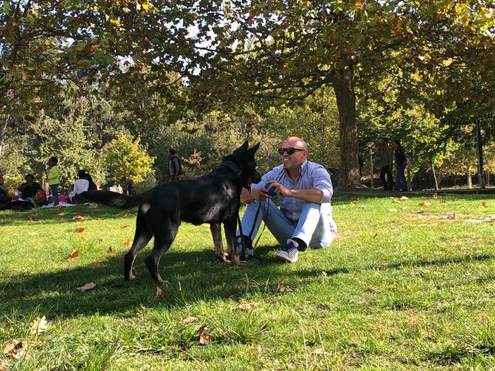 João Reis - Lisboa - Adiestramiento de perros - Clases privadas