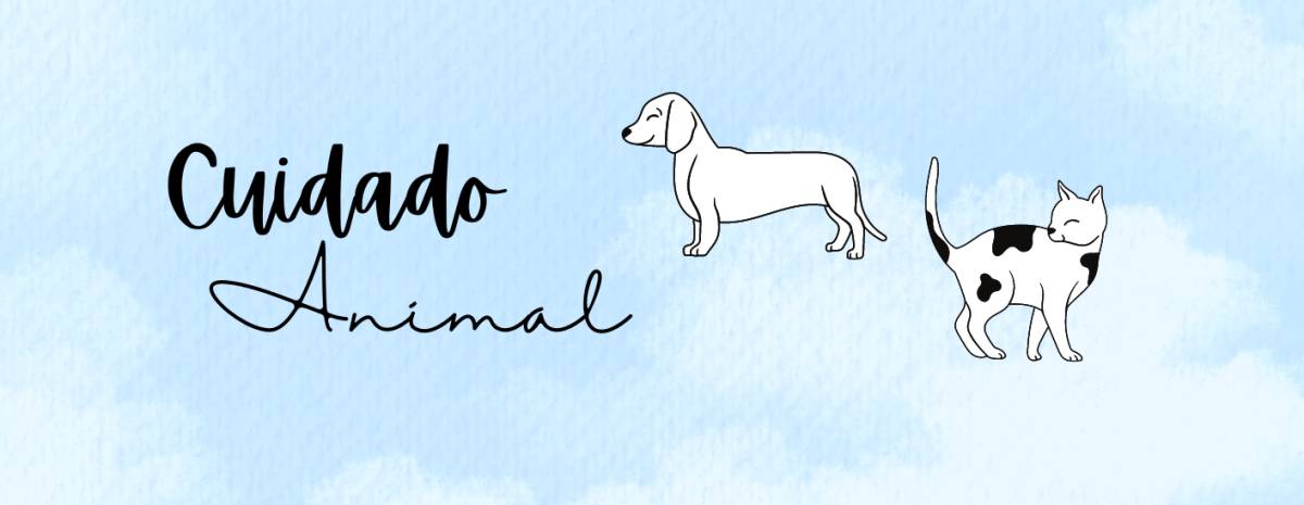 Cuidado Animal - Loures - Dog Walking