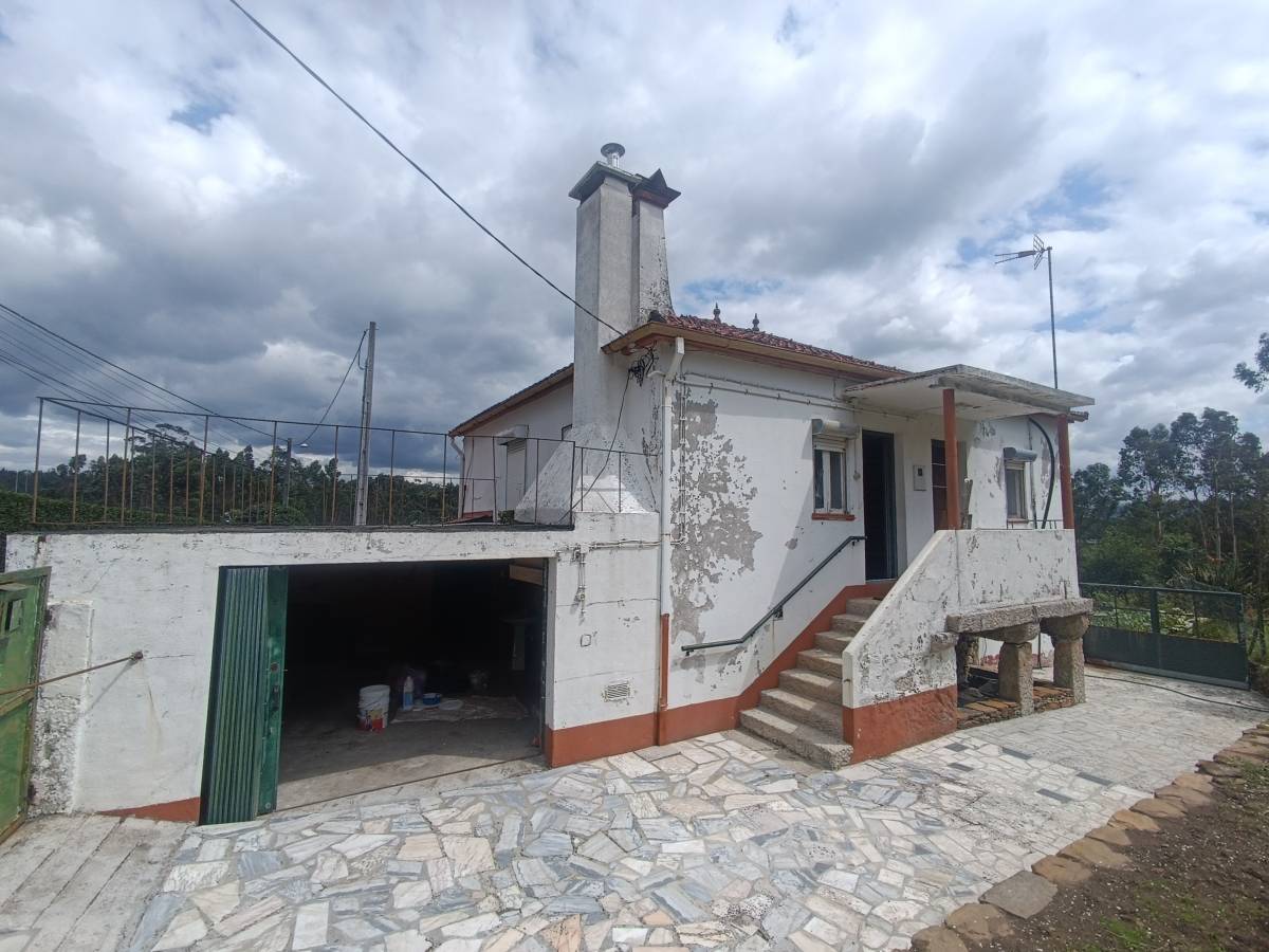 Ramon Santos - Viana do Castelo - Baldosas para la cocina